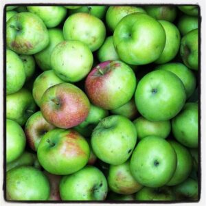 Preserving Fall Apples Image